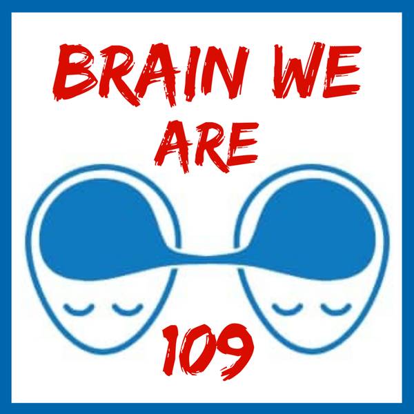 Brain We Are CZ